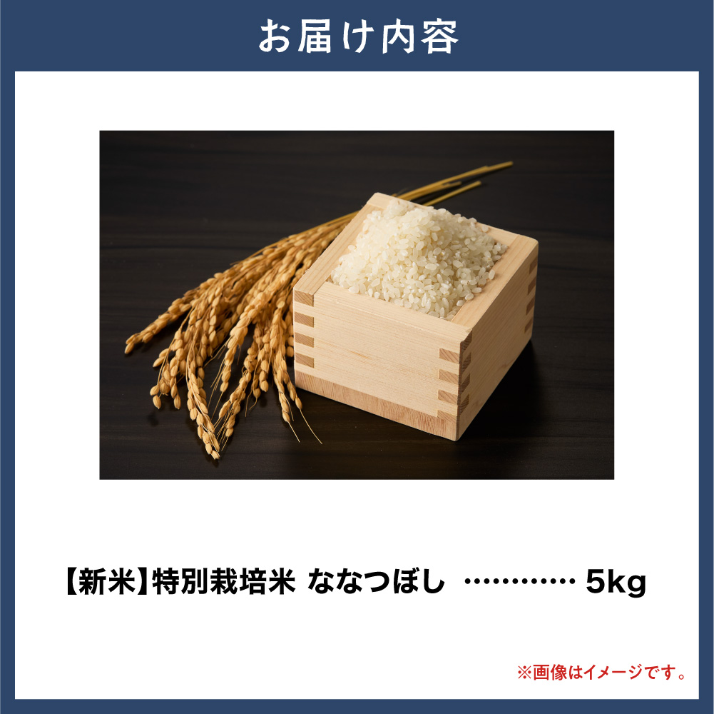 【令和8年度先行受付】大塚農場 特別栽培米ななつぼし　5kg_tb17-010