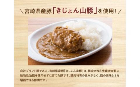 きじょん山豚 ハンバーグカレー 9食分(180g×9袋)　豚肉[G7506]