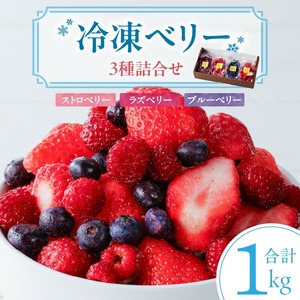 冷凍ベリー3種詰合せ（ストロベリー500g・ラズベリー250g・ブルーベリー250g）_冷凍 ベリー 3種 詰め合わせ ストロベリー 500g ラズベリー ブルーベリー 各250g 新鮮 ジャム お菓子作り おすすめ 使い方 いろいろ 果物 フルーツ 果実 食品 デザート グルメ お取り寄せ お取り寄せグルメ 福岡県 久留米市 送料無料 〔Fx017〕