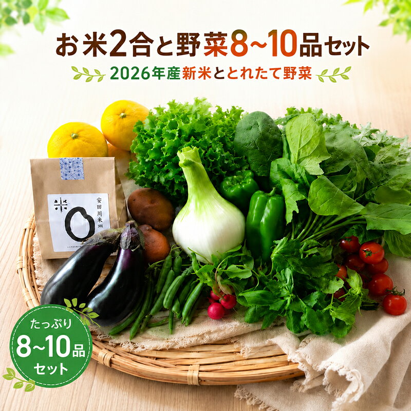 【ふるさと納税】 お米2合 野菜8-10品目セット 米 2合 野菜 8‐10品 セット 詰め合わせ お米 300g 白米 ヒノヒカリ 採れたて 家計応援 果物 やさい フルーツ 使い切り トマト なす ブランド米 精米 高知県 安田町 MR0001