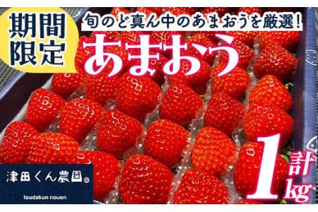 ＜先行予約受付中！2025年1月上旬から2025年3月中旬にかけて順次発送予定＞福岡県産いちご 津田くん農園のあまおう(計約1kg) 苺 いちご イチゴ フルーツ 果物 くだもの 数量限定 期間限定＜離島配送不可＞【ksg1323】【くしだ企画】