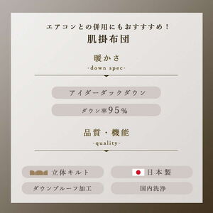 アイダーダックダウン95％使用 羽毛肌掛け布団 クイーン 1枚 2色 （ブルー） 羽毛布団 肌掛け布団 クイーン アイダーダックダウン95％ 国内洗浄 立体キルト 日本製 ダウンケット 掛布団 寝具 