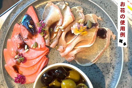 農家直送！加藤さんちのエディブルフラワー 15パック (1パックあたり季節のお花15輪から30輪)｜食用 花 お花 野菜 トッピング 付け合わせ [0766]