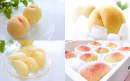 【先行予約】岡山白桃 約1.5kg（6玉前後）【2026年7月上旬～7月下旬迄順次発送予定】【もも 桃 清水白桃 白桃 果物 フルーツ 国産 人気 おすすめ 岡山県 倉敷市】