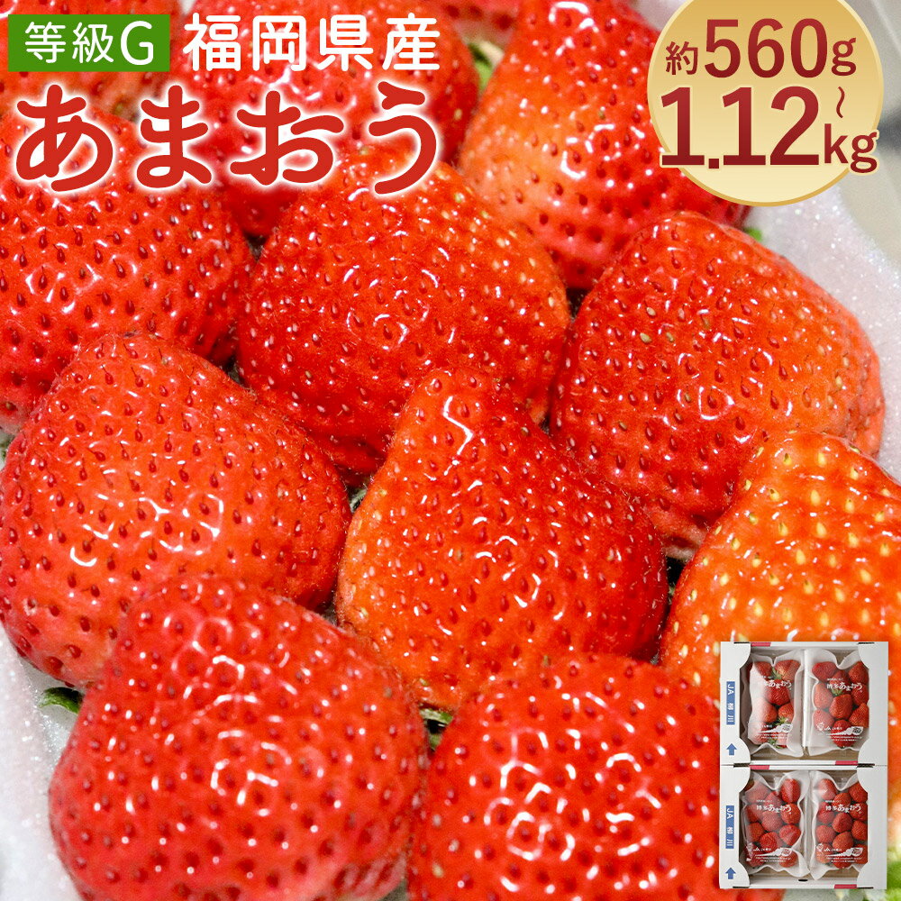 【ふるさと納税】あまおう 等級G 約560g(2パック)/約1.12kg(4パック) 選べる内容量 1パック約280g 先行受付 事前予約 いちご 苺 フルーツ 果物 福岡県産 冷蔵 送料無料【2026年2月上旬～3月下旬に順次発送予定】