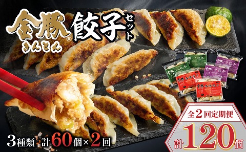 【定期便 全2回】金豚餃子セット（香港餃子・しそ餃子・にら餃子　1パック10個入×各2パック）_M166-T002-2