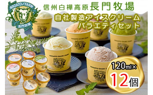 
                  長門牧場アイスクリーム12個セットA-2　6種のフレーバー詰め合わせ（バニラ、チョコレート、抹茶、ヨーグルト、いちご、あんず）　人気スイーツ　濃厚ミルク　直送　牛乳　生乳　国産　夏ギフト　長野県　贈答品　お土産　お中元　お歳暮　クリスマス
                