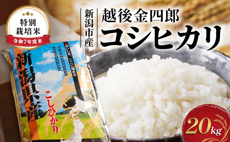 
                  令和7年度米 新潟市産 越後金四郎コシヒカリ（特別栽培米）20kg
                