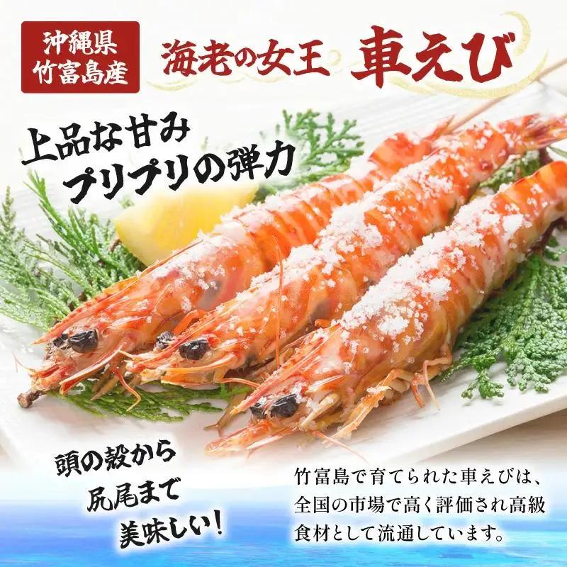 訳あり 竹富島産 冷凍車えび 規格外品 500g
