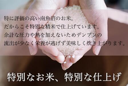 【定期便】令和7年産 南魚沼産コシヒカリ 精米 5kg 12ヶ月連続