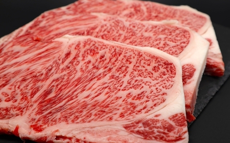 伊賀牛 【肉の横綱】 サーロインステーキ 150g×3枚 伊賀牛 【ymmt0006】