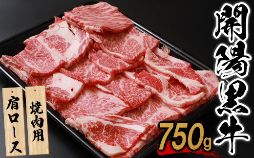 【焼肉用】開陽黒牛肩ロース×750g【1400301】