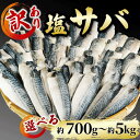 【ふるさと納税】 訳あり サバ さば 約700g~約5kg 塩サバ 鯖 塩 さば サバ 魚 さかな 海鮮 海産物 おかず ご飯 おすすめ 選べる 人気 愛知県 南知多町 【配送不可地域：離島】