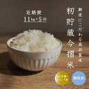 【ふるさと納税】※令和6年産先行予約※ ≪定期便5ヶ月≫ 無洗米 11kg×5回 計 55kg ブランド米 籾貯蔵今摺米 きたくりん 北海道米 北海道 当麻町 10kg 以上 30kg 以上 米 送料無料