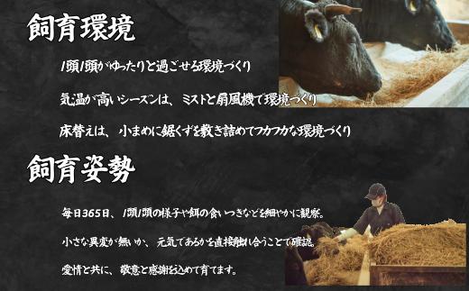 【牧場定期便】佐賀産和牛のステーキ定期便 全12回：C213-003