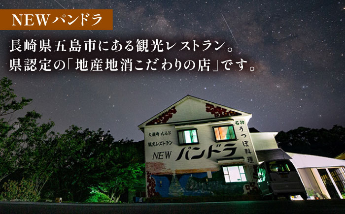 【全12回定期便】五島あご出汁しゃぶしゃぶ 五島うどん セット 4〜5人前【NEWパンドラ】 [PAD016]