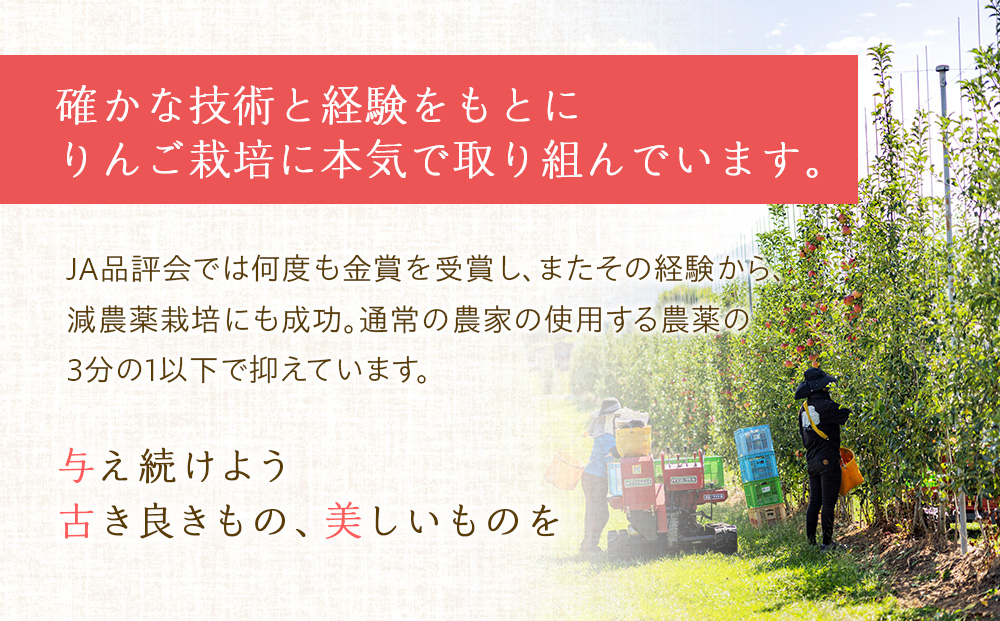 【2026年/令和8年発送分 】梨 長野 あきづき 約5kg 信州の梨 