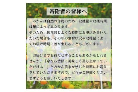 【10月お届け】◇極早生◇有田みかん「未来への虹」5kg（B1035-1）