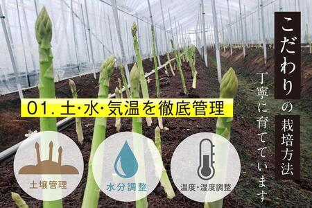 【朝採り直送】夏芽アスパラガス 1kg（2L-Lサイズ）福岡県産 2026年