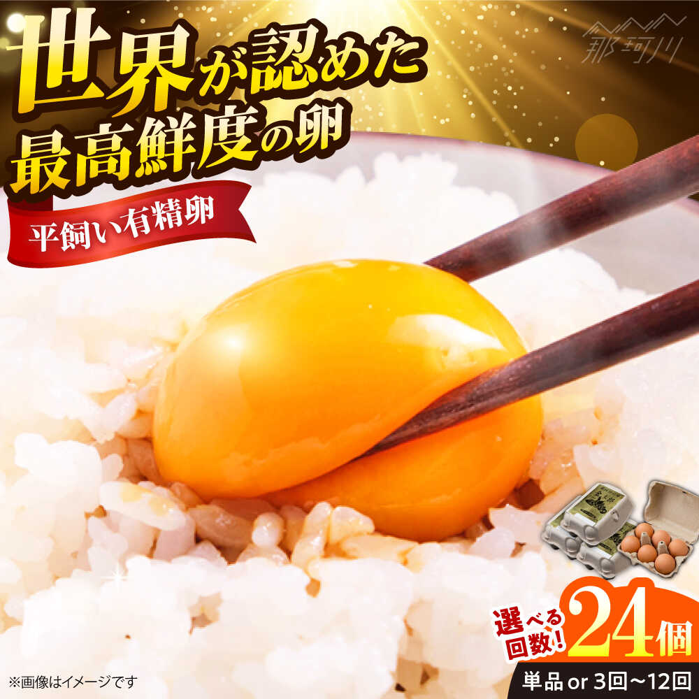 【ふるさと納税】【選べるお届け回数】【TVで紹介！鮮度AA級の世界最高ランク！】金太郎卵 たまご 定期便 平飼い 卵 朝食 卵かけごはん おすすめ 赤卵 24個（6個×4パック）＜有限会社フジノ香花園＞那珂川市 |[GAM035]