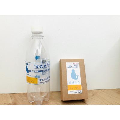 ふるさと納税 宇治市 カメルカ(舌〜歯茎でつぶせる硬さ用) |  | 02