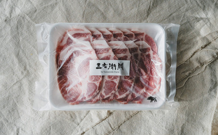 No.231 【定期便6回】山西牧場　ぶたづくしセット