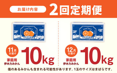 【2回定期便】※【11月より発送／先行予約】 伊木力みかん (家庭用) 10kg / みかん ミカン 蜜柑 柑橘 フルーツ ふるーつ 果物 くだもの / 諫早市 / 山野果樹園[AHCF012]