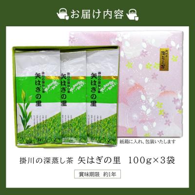 ふるさと納税 掛川市 「矢はぎの里」100g×3本箱入り　掛川市産深蒸し茶　旨いっ!茶農家直送こだわりの味 |  | 01
