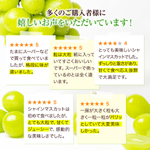 大粒 特選 大房シャインマスカット 約750g 1房 ぶどう 果物 フルーツ 種なし 