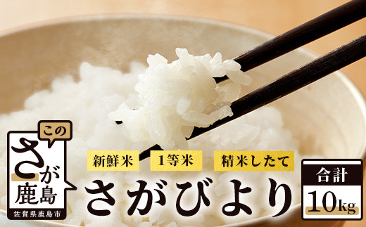 
            新鮮米 佐賀県鹿島産 さがびより 白米 10kg 令和6年産 お米 精米 ご飯 ごはん ふるさと納税 佐賀県 鹿島市 B-339
          