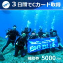 【ふるさと納税】BIG BLUE　スキューバダイビング　PADI(Cカードライセンス) 免許取得補助券5,000円分【1489917】