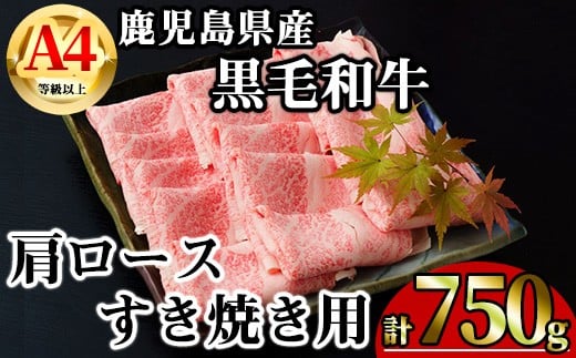 
            【数量限定】鹿児島県産黒毛和牛A4等級以上肩ロースすき焼き用 (計750g＋黒毛和牛こま切れ250g×1P) 鹿児島県産 牛肉 冷凍 【KNOT】 A809-v01
          