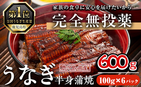 鹿児島県産 うなぎ 半身 カット セット (100g×6パック、タレ・山椒付き)【西日本養鰻】A586