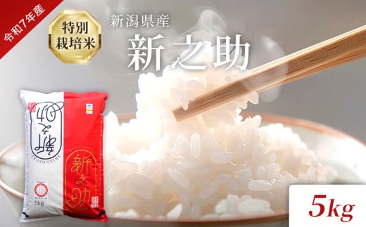 令和7年度産 新潟県産特別栽培米新之助（白米）5kg