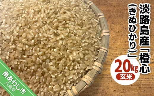 令和７年度産 新米 淡路島産「橙心(きぬひかり)」　玄米20kg　◆配送9月下旬～