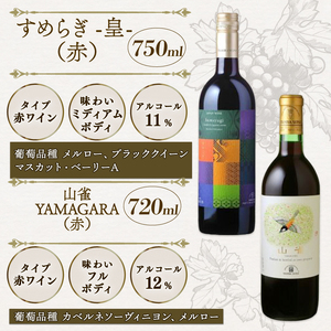 【丹波ワイン】 飲み比べ6本セット 赤ワイン 白ワイン