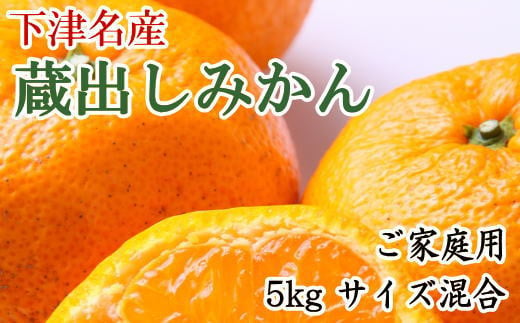 【産直】下津蔵出しみかん5kgご家庭用向け(サイズ混合) ★2025年1月中旬頃より順次出荷