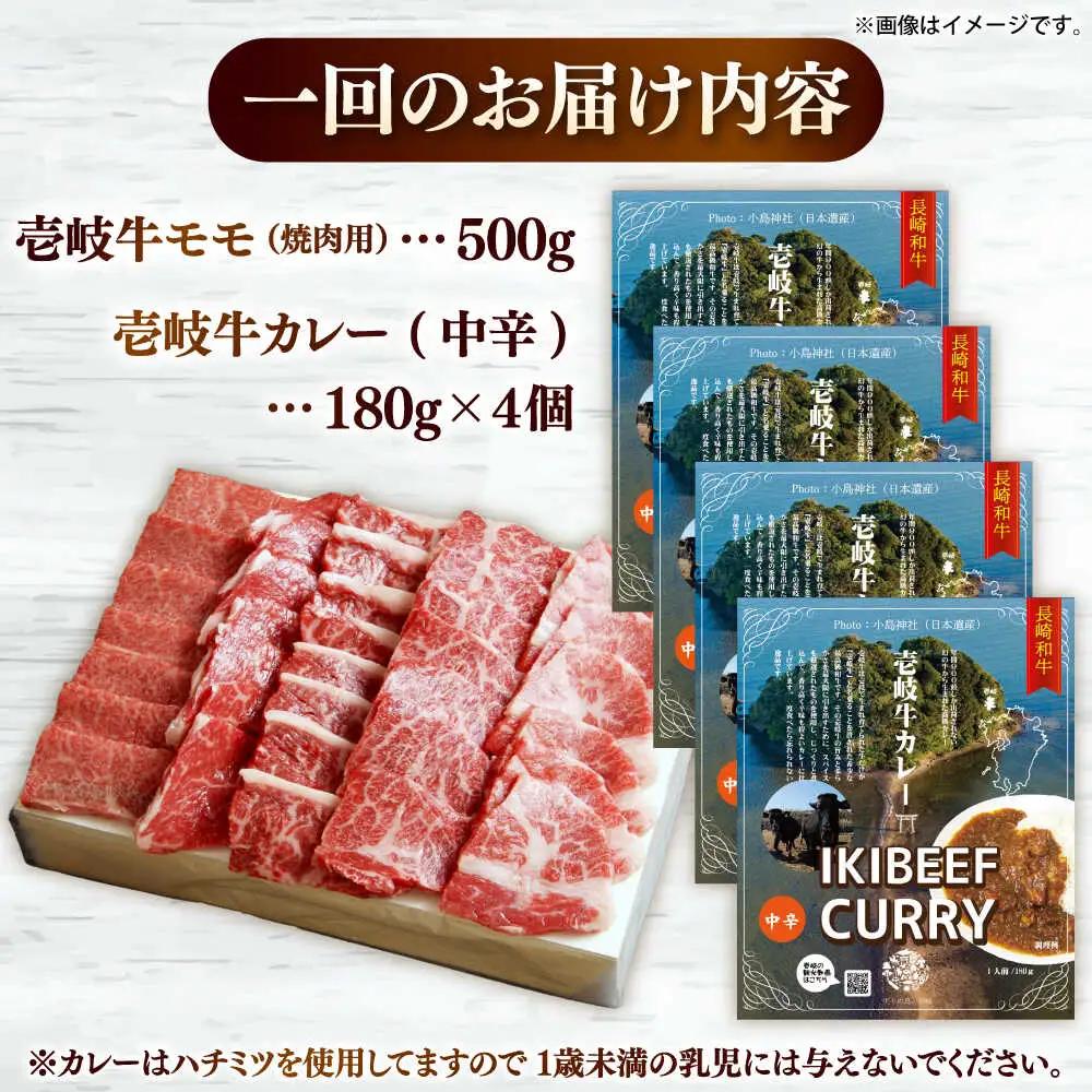 【全12回定期便】モモ＆カレー中辛 和牛 焼肉 [JDW133]