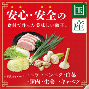 旨味たっぷり！本場プロの中華料理人が作る みとしゃんジャンボ餃子 30個（CS-5）