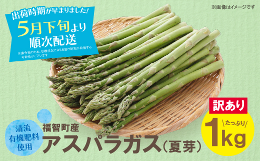 【訳あり】清流・自然栽培 アスパラガス(夏芽) 1kg