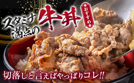 鹿児島県産 黒毛和牛 切落し 900g　K208-019 肉 牛 国産 赤身 万能 牛丼 牛飯 野菜炒め 炒め物 肉じゃが ハヤシライス カレー 冷凍  便利