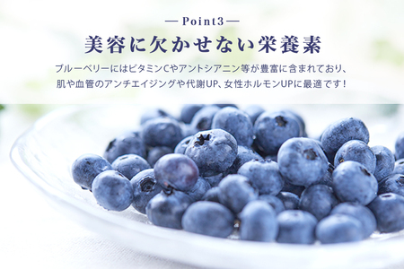 ブルーベリージャム6個 ブルーベリー ジャム ブルーベリージャム フルーツ 果物 ビタミンE アントシアニン 栄養 目にいい 健康 美容 ギフト 贈り物 茨城県産 プレゼント セット 詰め合わせ スイ