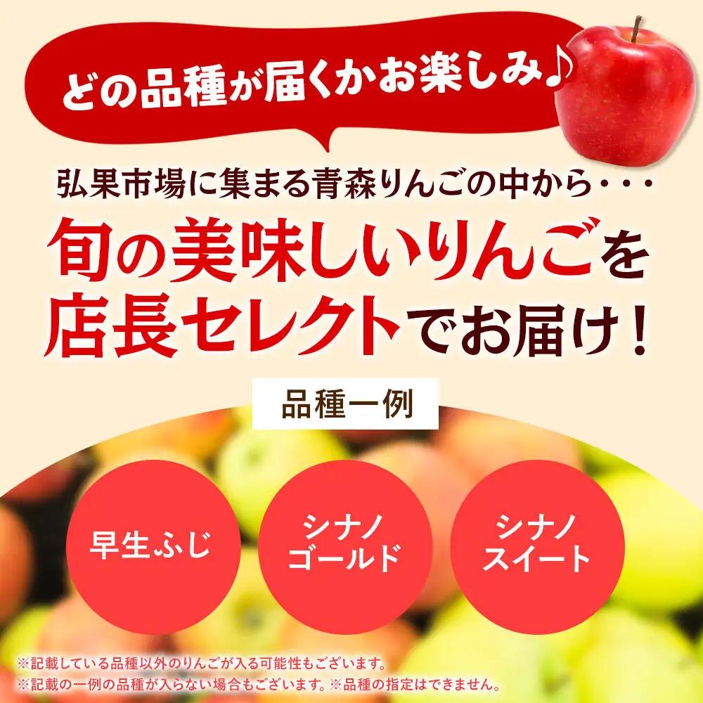 【26年11月発送】りんご 家庭用 訳あり 旬のりんご 品種おまかせ 約5kg 2品種～4品種