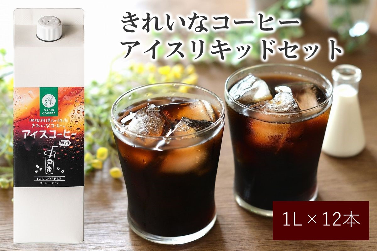 
きれいなコーヒーアイスリキッドセット12本【C8-013】
