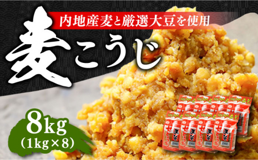 【毎日食べても飽きない！創業明治28年から変わらない伝統の味】田舎みそ（麦こうじ）1kg×8袋　調味料 料理 簡単 汁 鍋＜瀬戸内みそ高森本店＞江田島市 [XBW002]