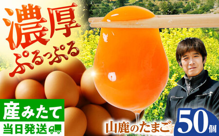 たまご 50個 約3kg【マツヤマエッグファーム】[ZAW005]