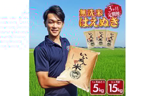 SF0253　【3回定期便】無洗米はえぬき　5kg×3回(計15kg)　農家直送『いいあん米』AG