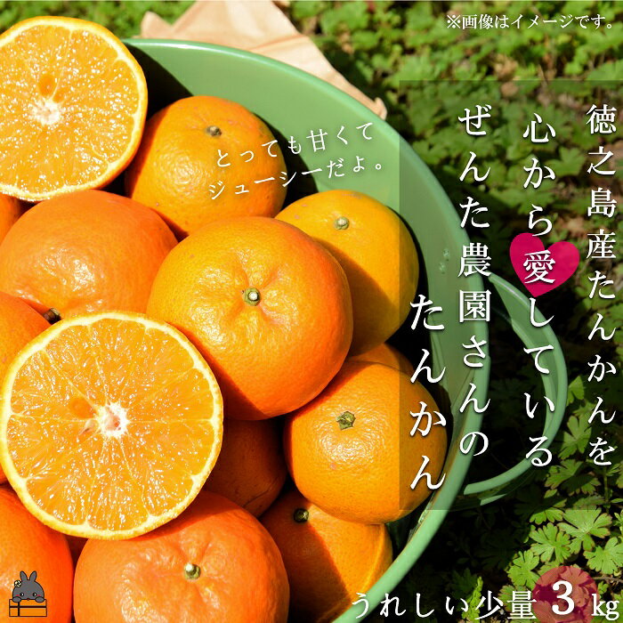 【ふるさと納税】《今が旬！》徳之島産たんかんを心から愛している。ぜんた農園さんのたんかん（3kg） ( タンカン フルーツ みかん 果物 善田 柑橘 徳之島 奄美 鹿児島 世界自然遺産 先行予約 )