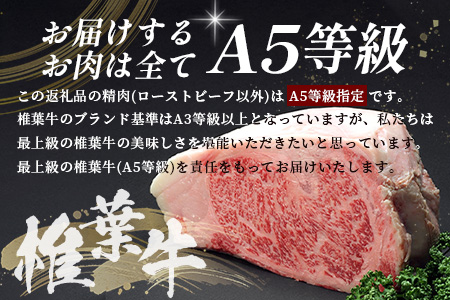 【定期便5回】総重量3.5kg！椎葉牛オールスター定期便≪ローストビーフ・切り落とし・焼き肉・スライス・ステーキ≫【A5等級指定 黒毛和牛】A5ランク a5【日本三大秘境 椎葉村 育ちの黒毛和牛】