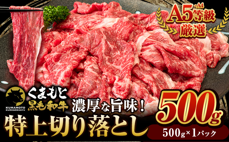 くまもと黒毛和牛 特上切り落とし ウデ・モモ 切り落とし 500g (500gx1) 牛肉 冷凍 《30日以内に出荷予定(土日祝除く)》冷凍庫 個別 取分け 小分け 個包装 モモ スライス 肉 お肉 